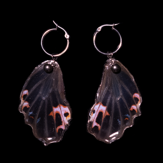 Peacock Wing Earrings