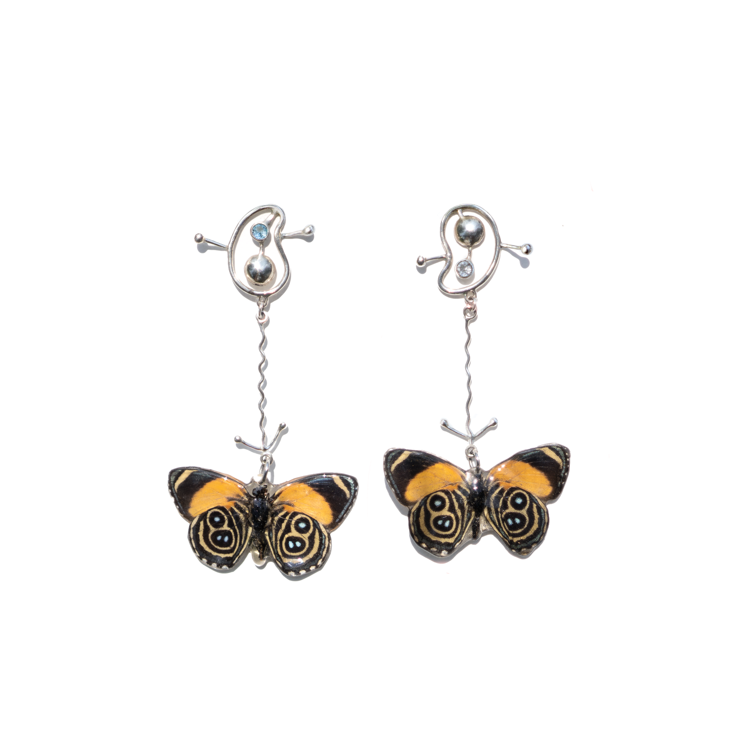 Callicore 69 Earrings